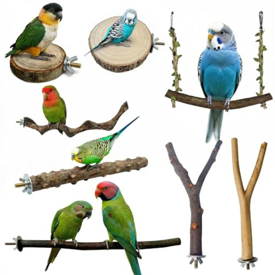 8PCS natural wood bird perches - Health & Wellness Website ulasan dan harga