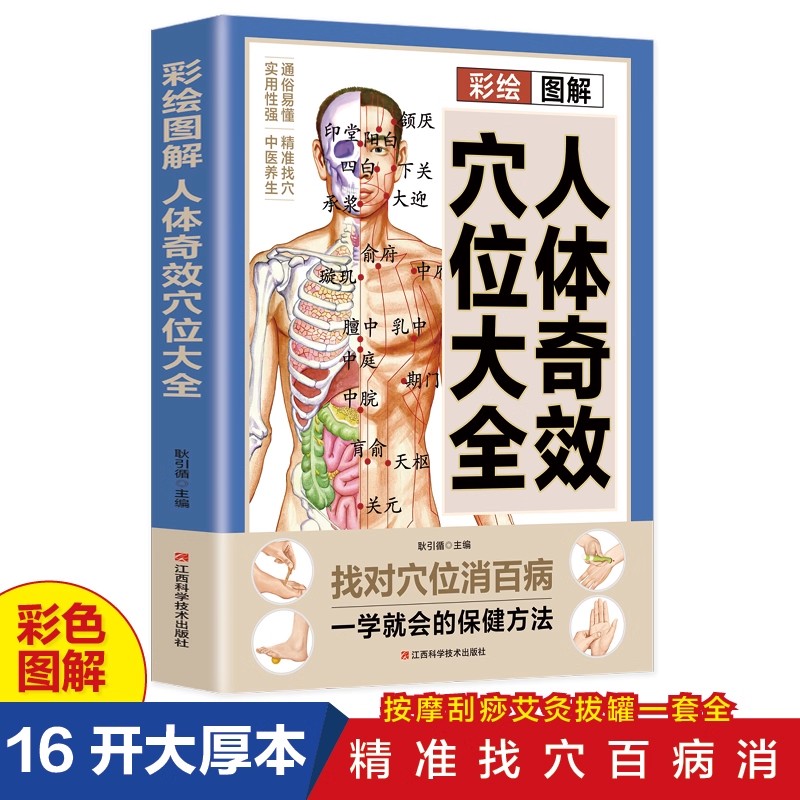 Acupoint Massage & TCM Health  - Health & Wellness Website ulasan dan harga