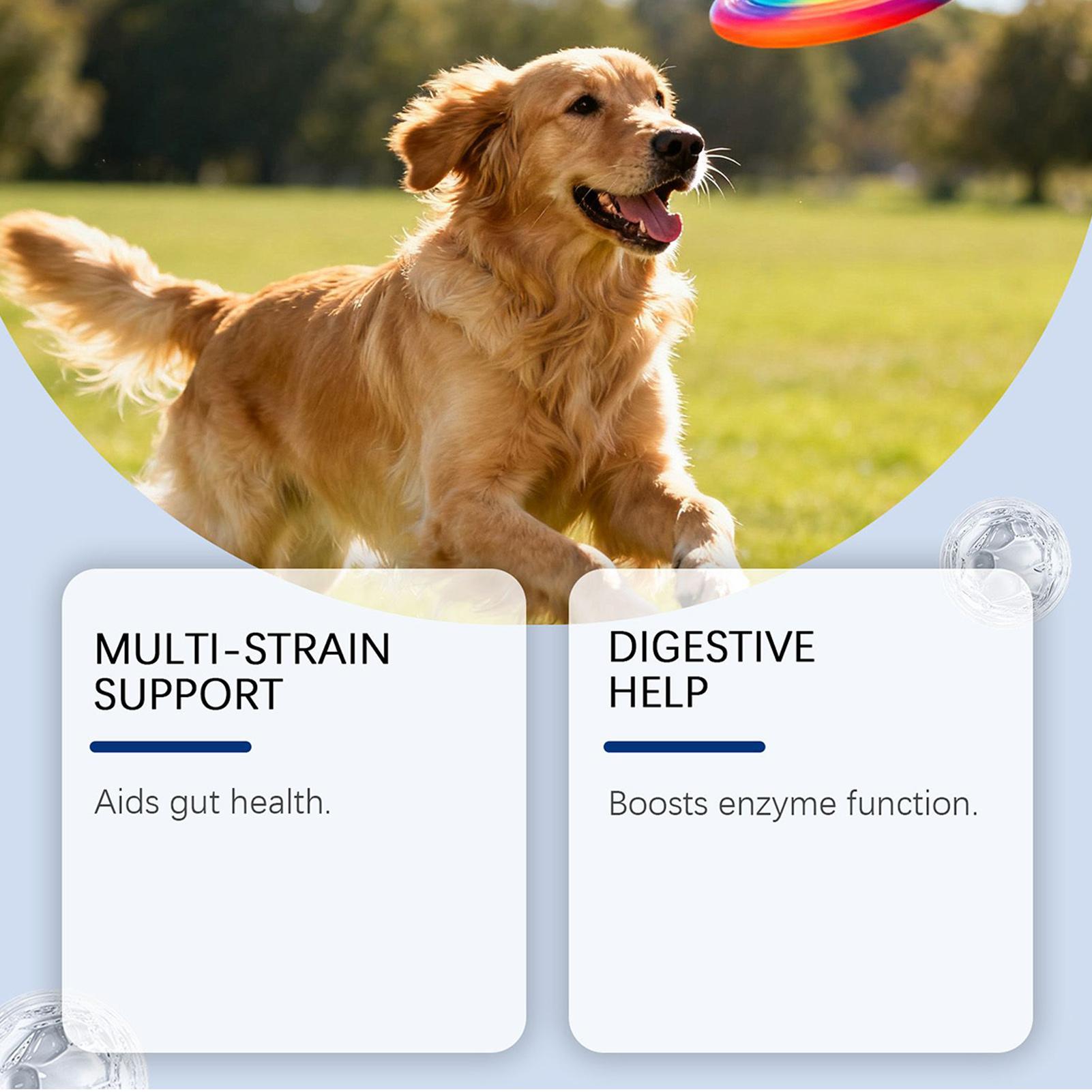 Dog Wellness Bites Healthy Nat - Health Wellness Food ulasan dan harga